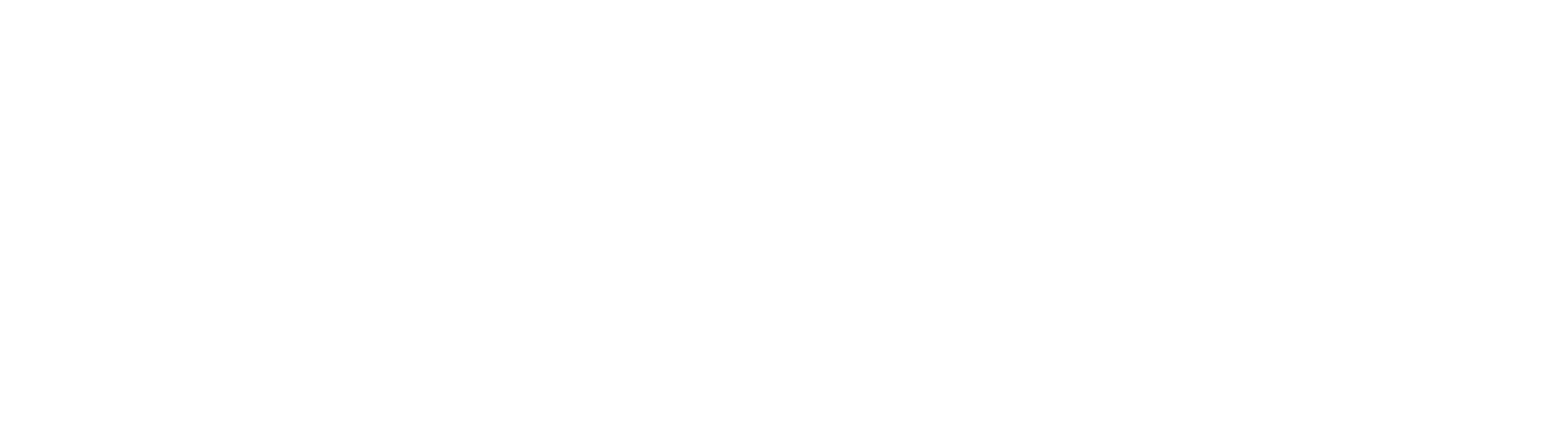 shopify logo.png